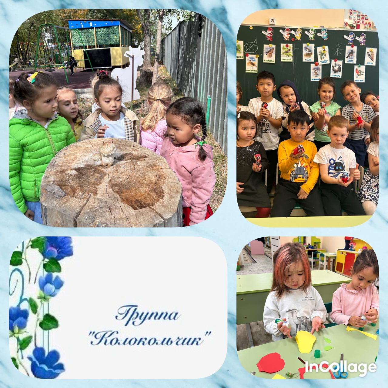 "Колокольчики" тобы